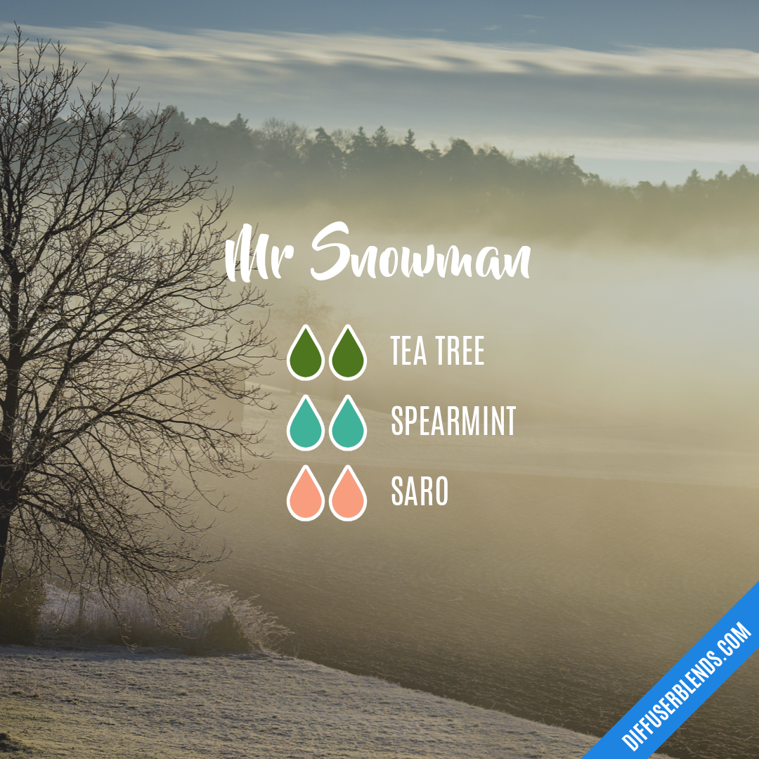 Mr Snowman — Essential Oil Diffuser Blend