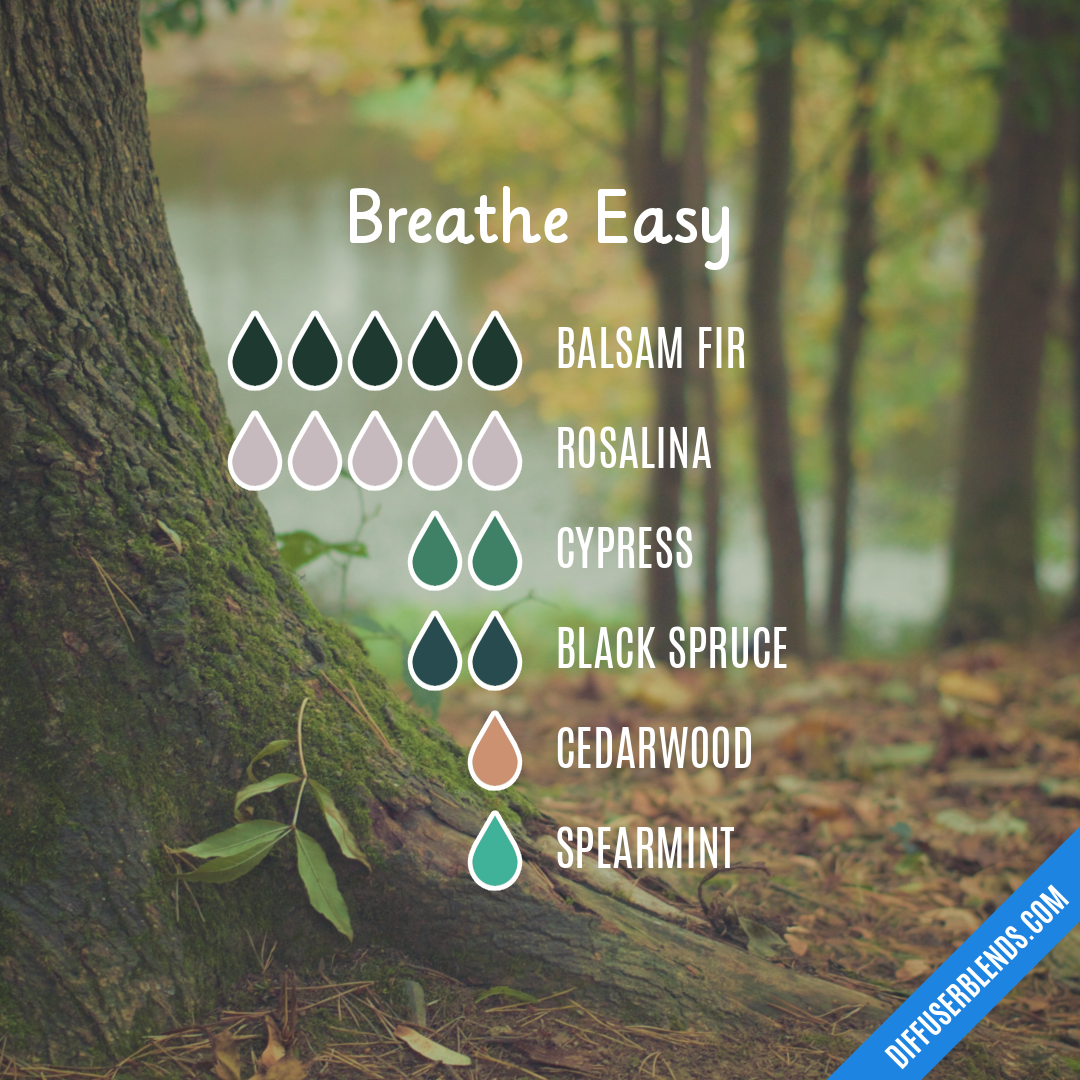 Breathe Easy — Essential Oil Diffuser Blend