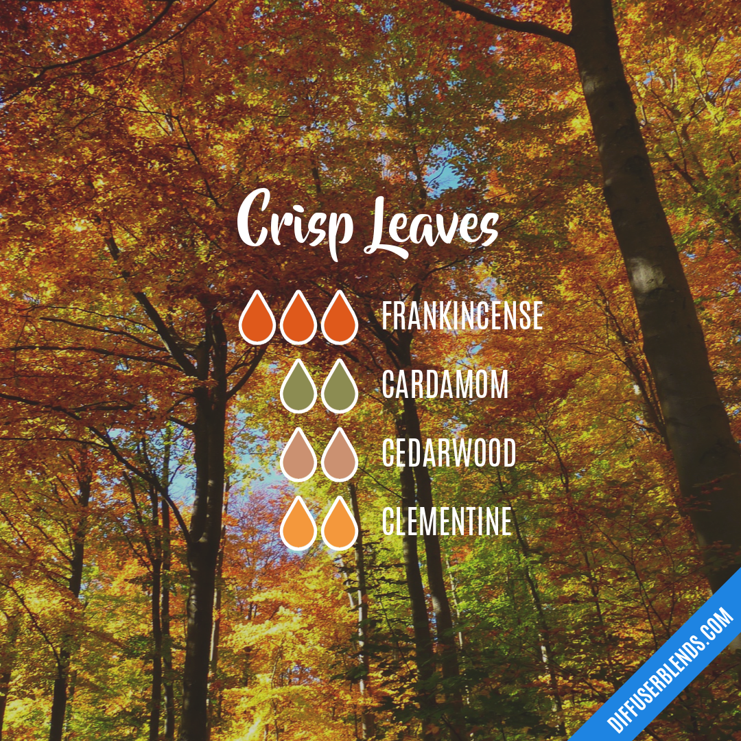 Crisp Leaves — Essential Oil Diffuser Blend