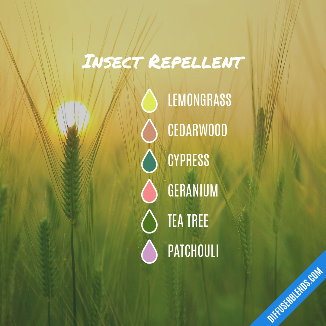 Insect Repellent — Essential Oil Diffuser Blend