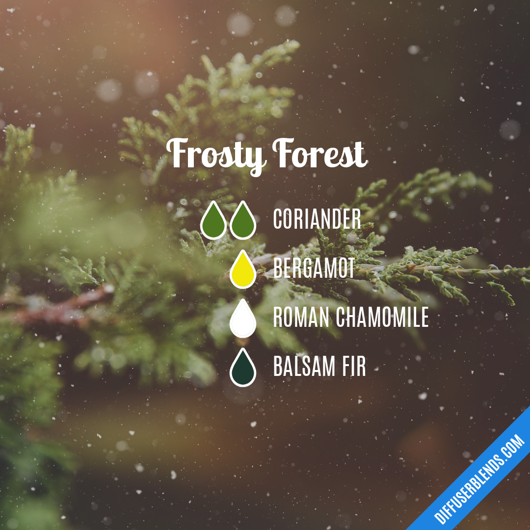 Frosty Forest — Essential Oil Diffuser Blend