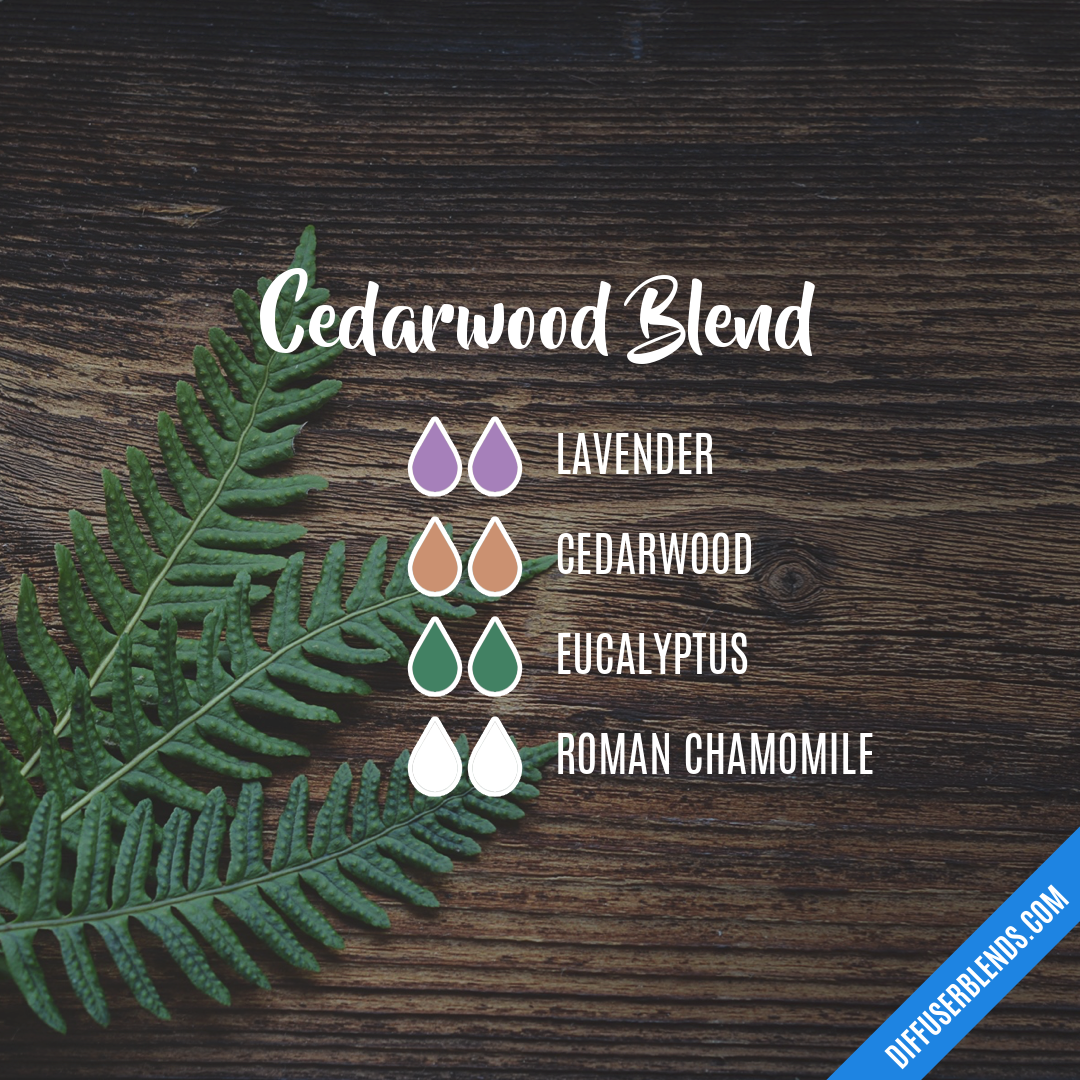 Cedarwood Blend — Essential Oil Diffuser Blend