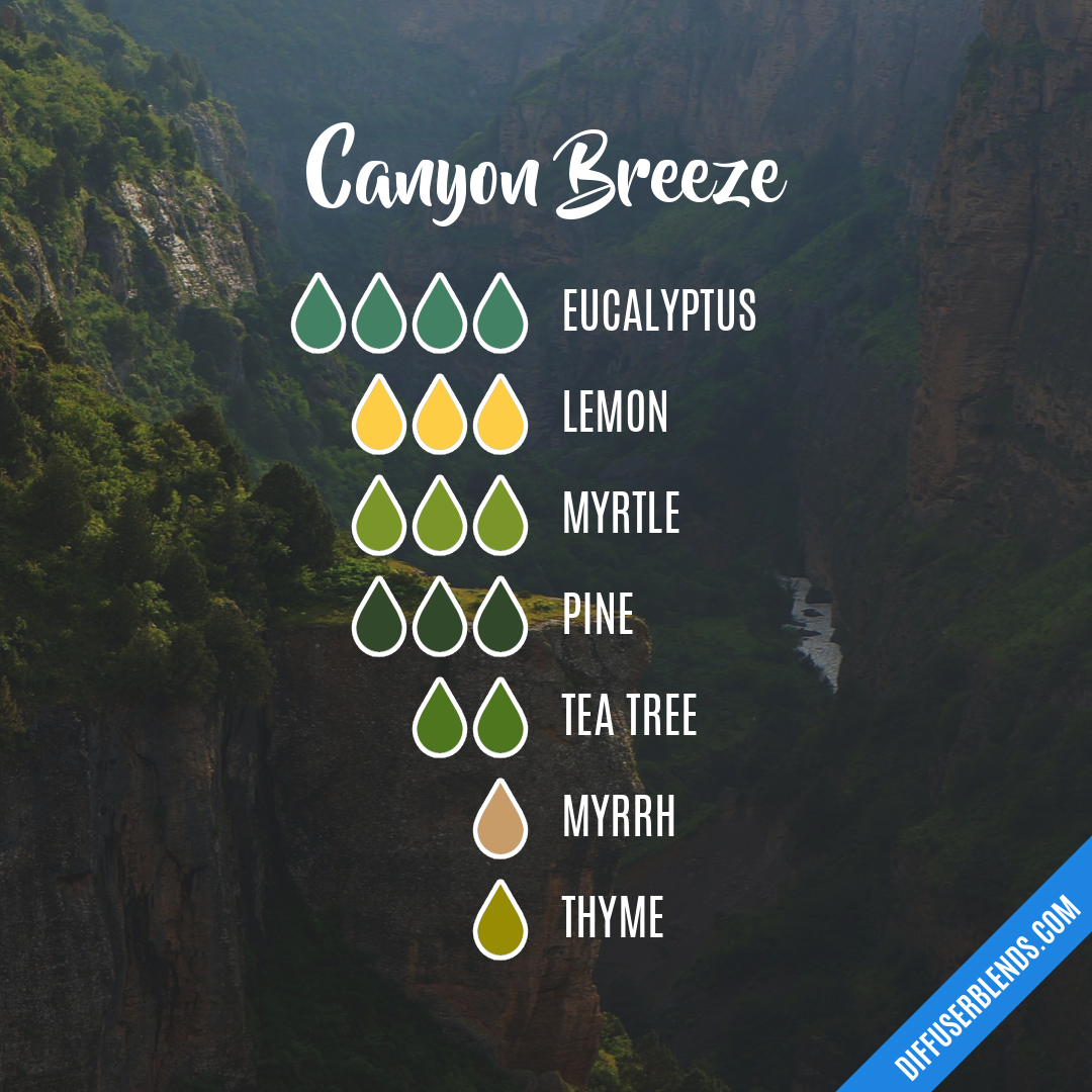 Canyon Breeze — Essential Oil Diffuser Blend