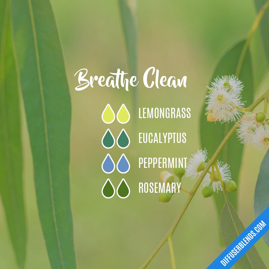Breathe Clean — Essential Oil Diffuser Blend