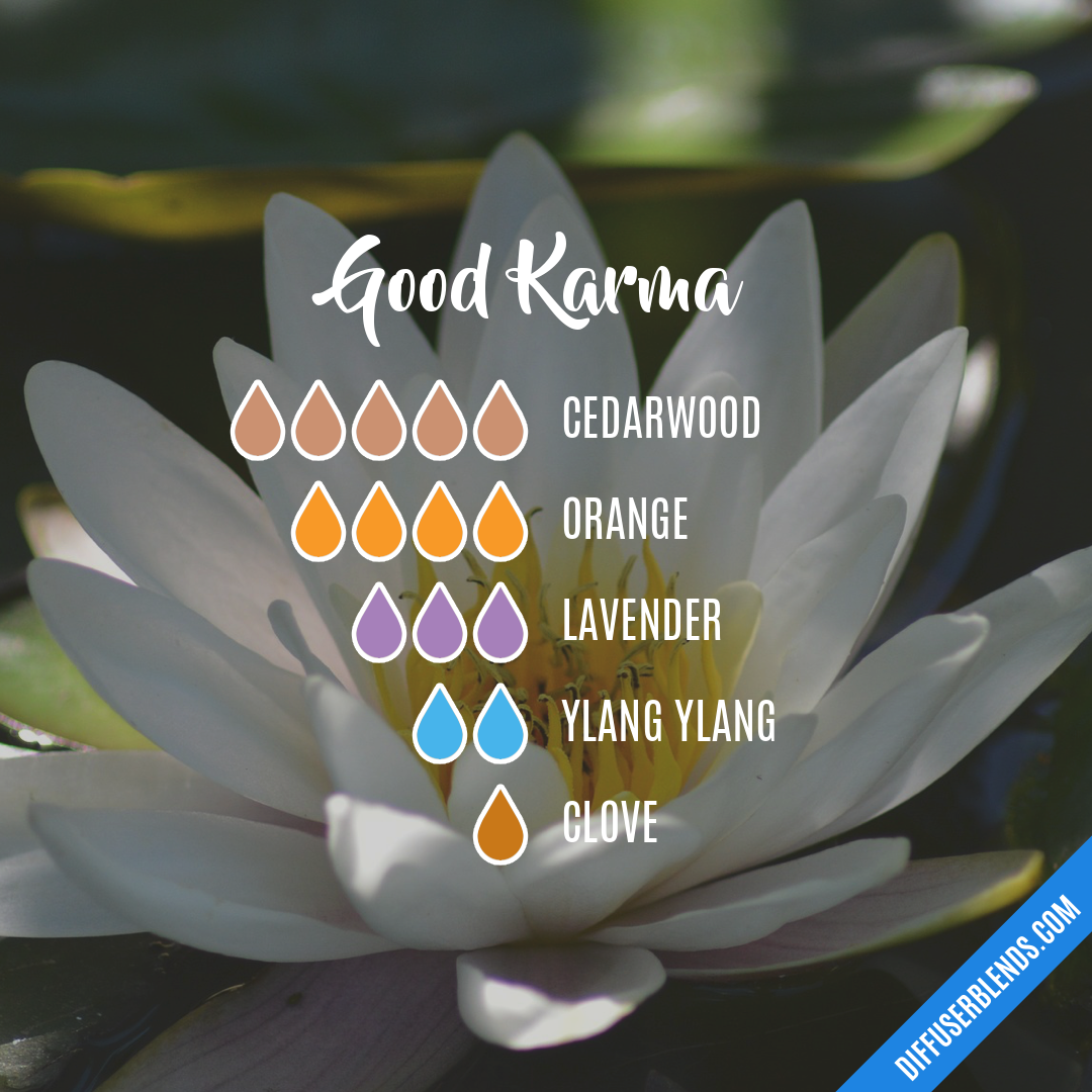 Good Karma — Essential Oil Diffuser Blend