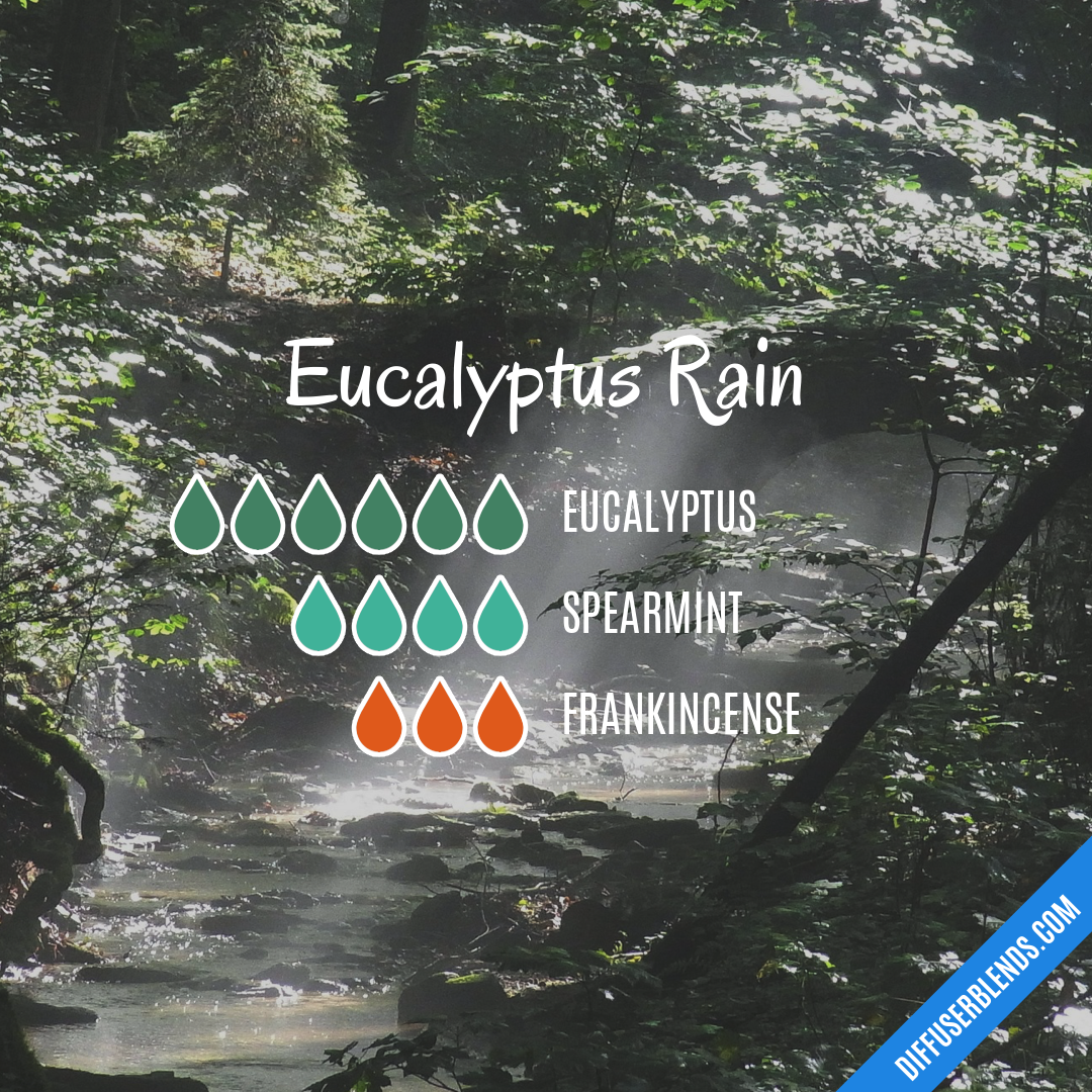 Eucalyptus Rain — Essential Oil Diffuser Blend