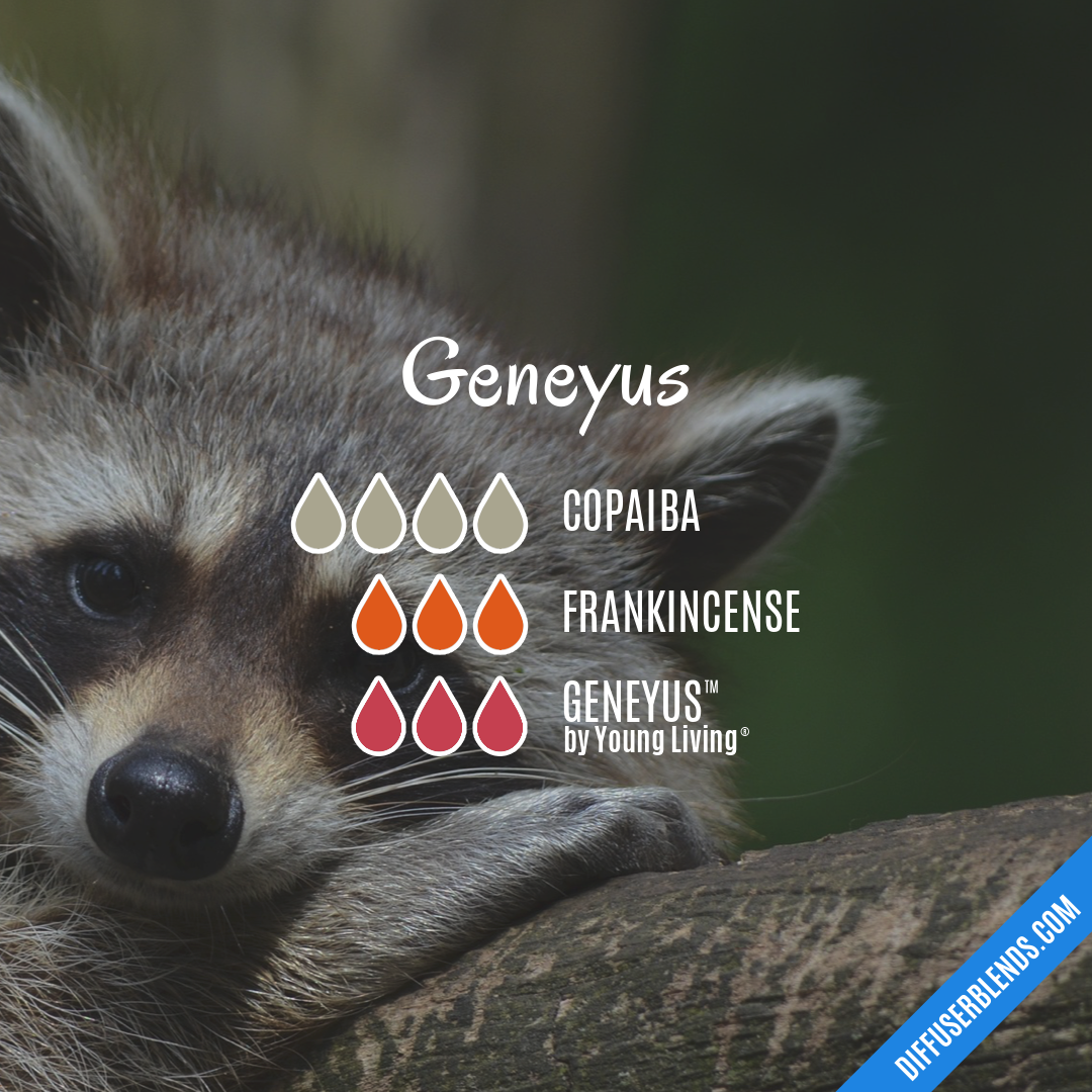Geneyus — Essential Oil Diffuser Blend