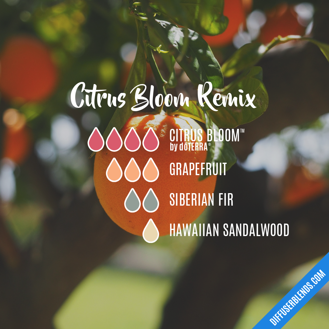 Citrus Bloom Remix — Essential Oil Diffuser Blend