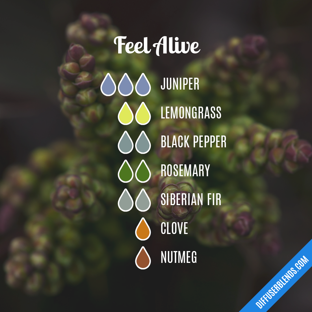 Feel Alive — Essential Oil Diffuser Blend