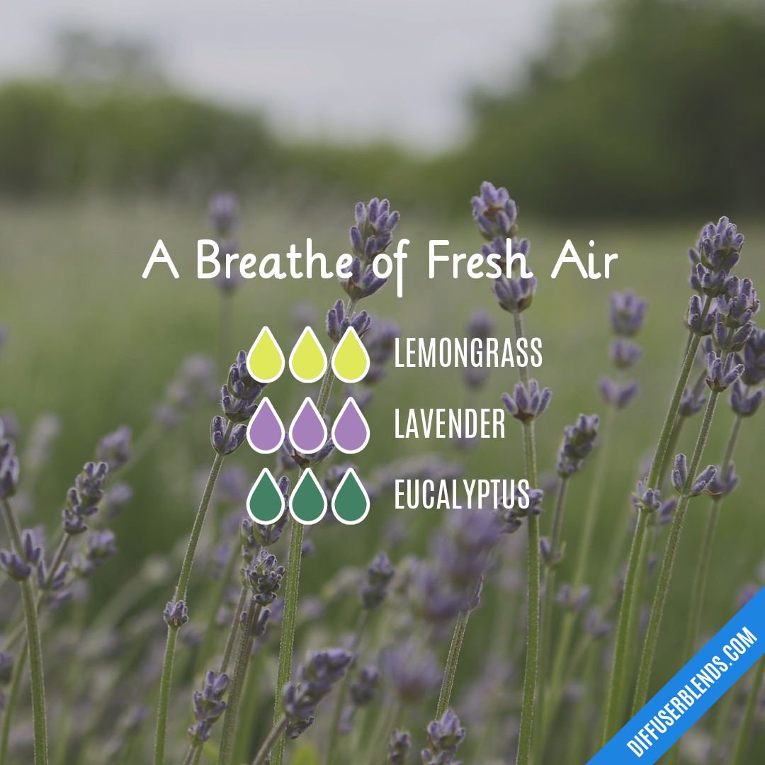 A Breathe of Fresh Air