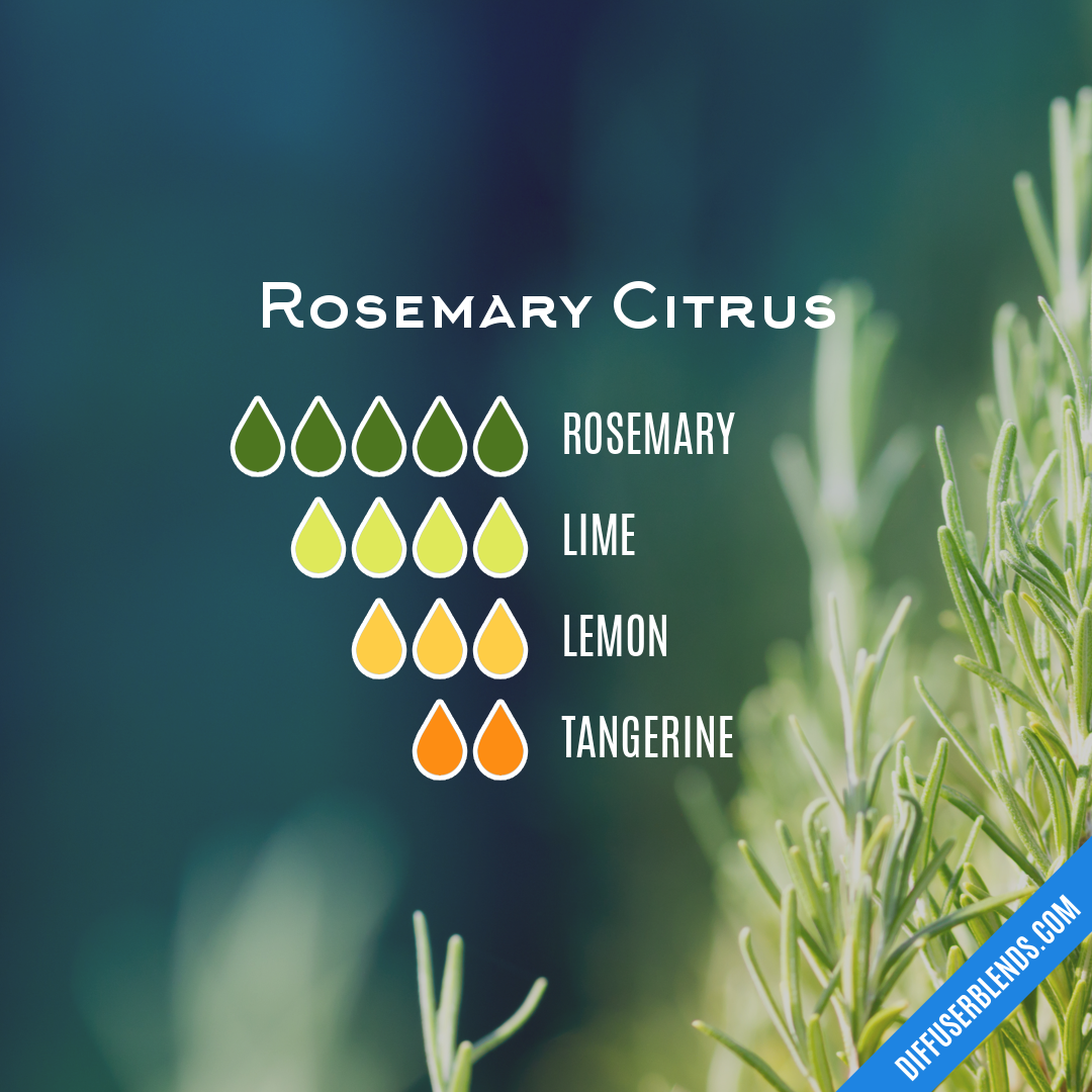 Rosemary Citrus — Essential Oil Diffuser Blend