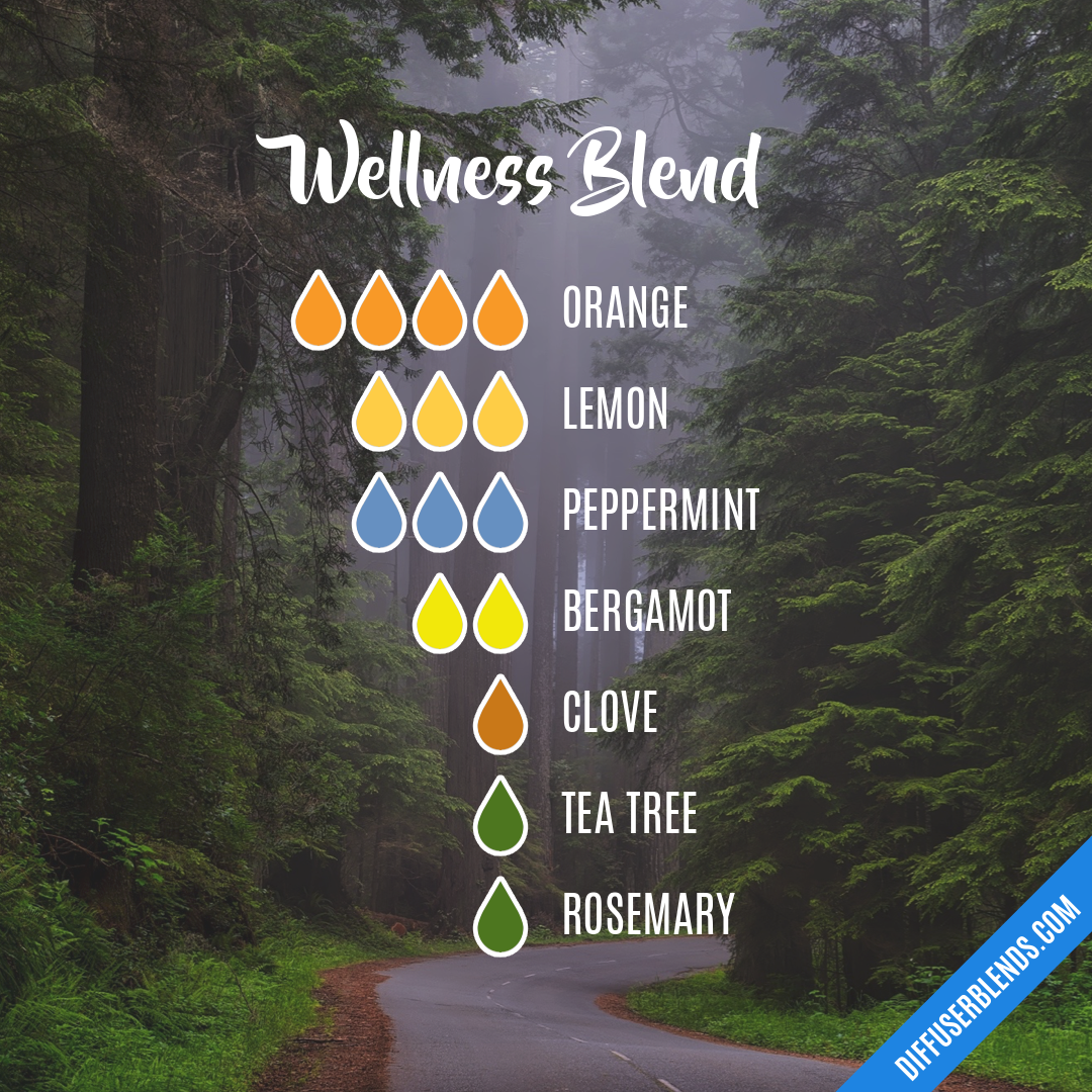 Wellness Blend — Essential Oil Diffuser Blend