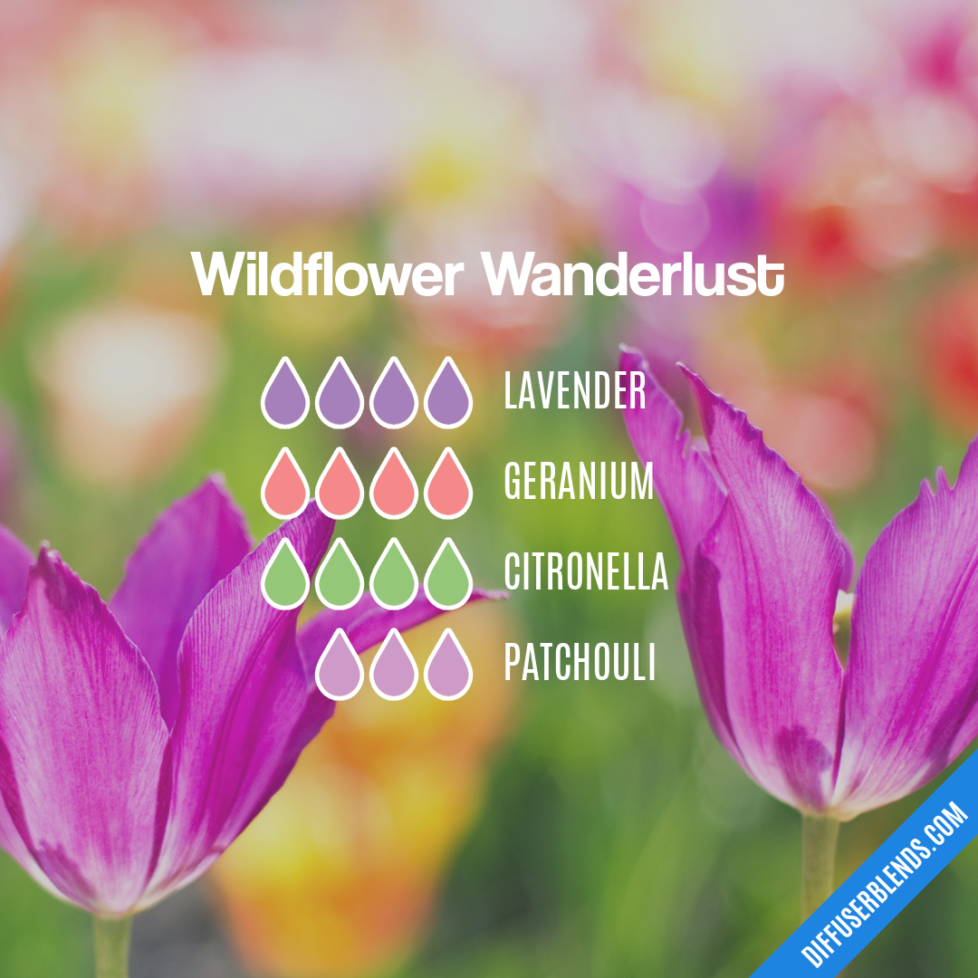Wildflower Wanderlust — Essential Oil Diffuser Blend
