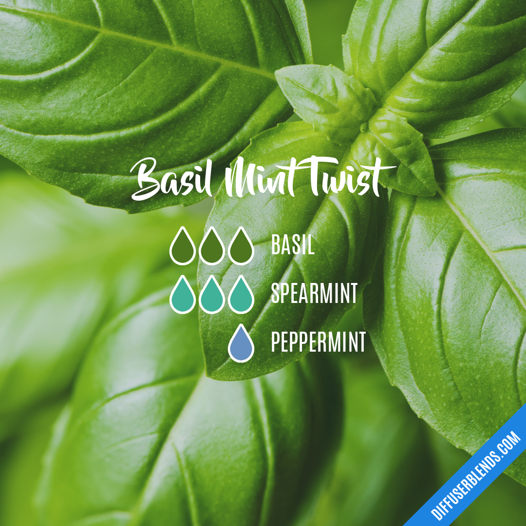 Basil Mint Twist — Essential Oil Diffuser Blend