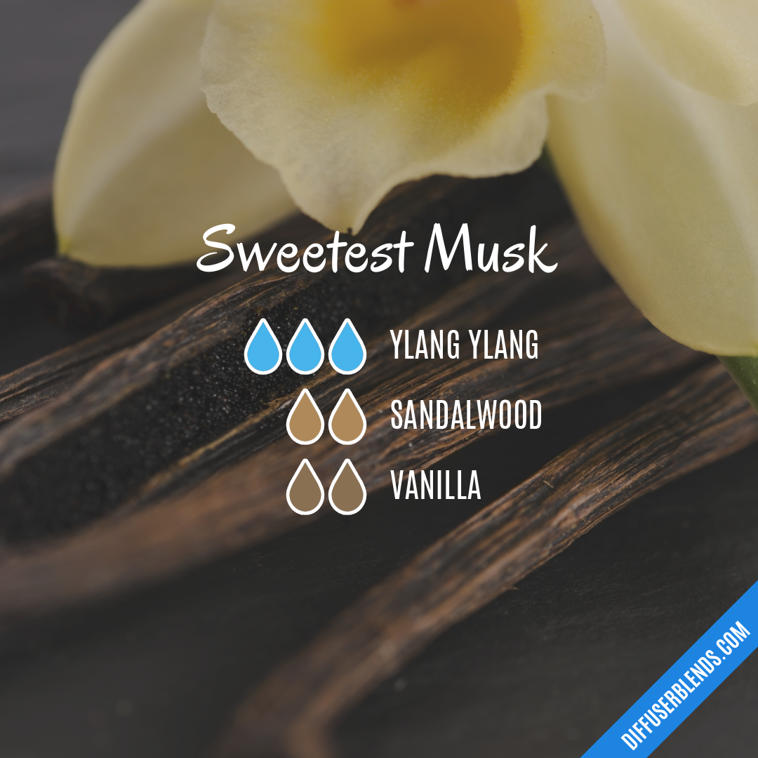 Sweetest Musk — Essential Oil Diffuser Blend