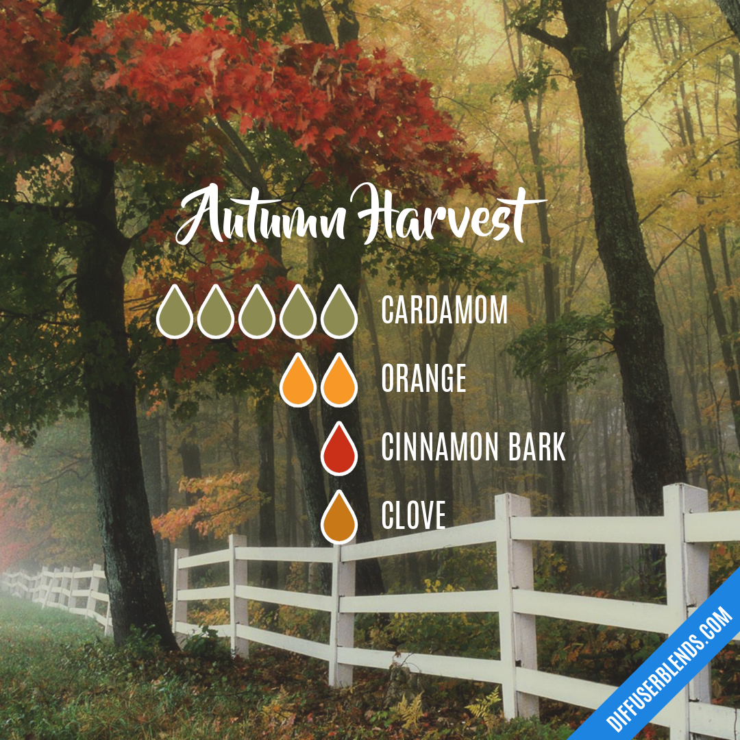 Autumn Harvest — Essential Oil Diffuser Blend