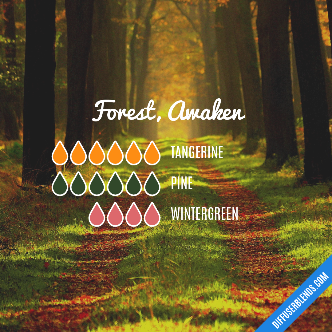 Forest, Awaken — Essential Oil Diffuser Blend