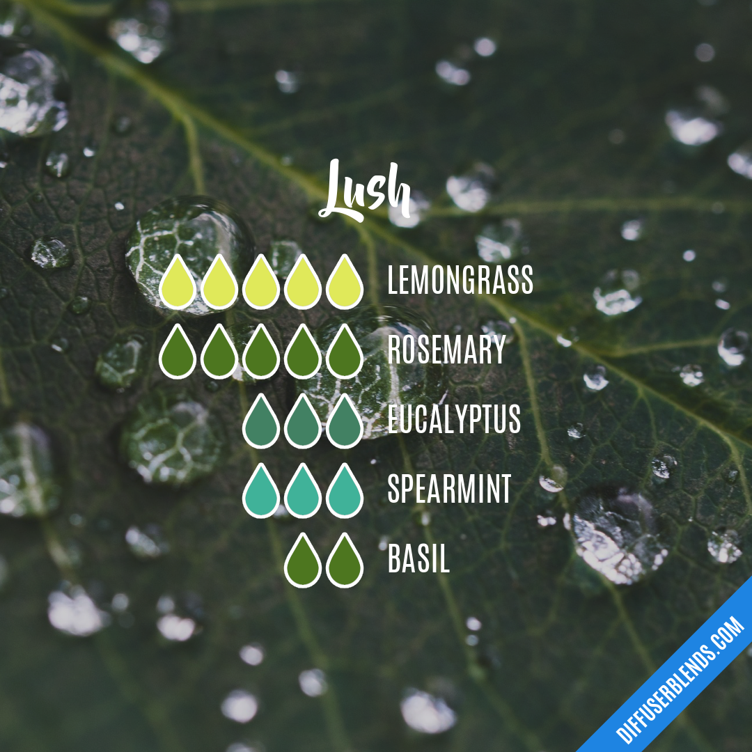 Lush — Essential Oil Diffuser Blend