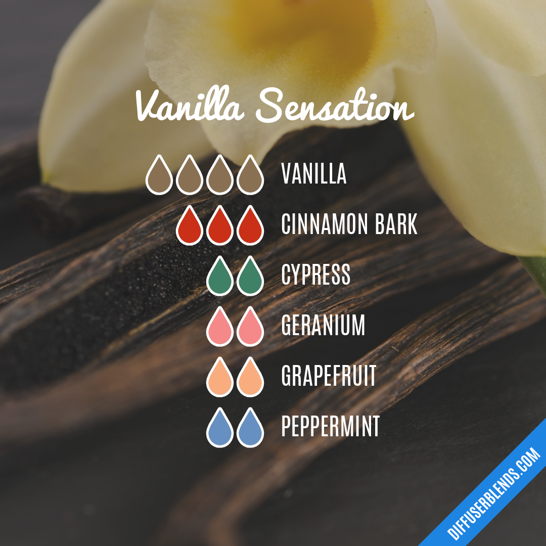 Vanilla Sensation — Essential Oil Diffuser Blend