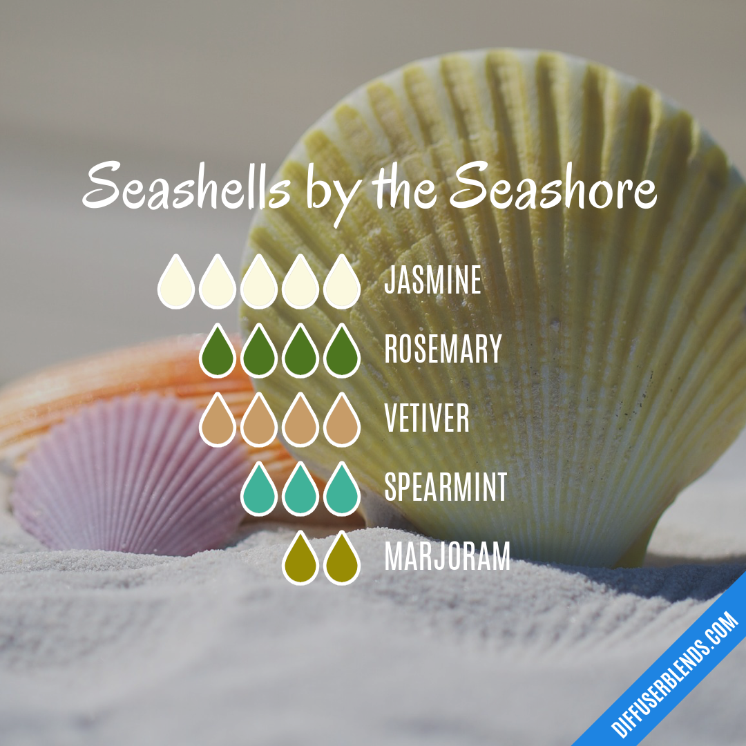Seashells by the Seashore — Essential Oil Diffuser Blend