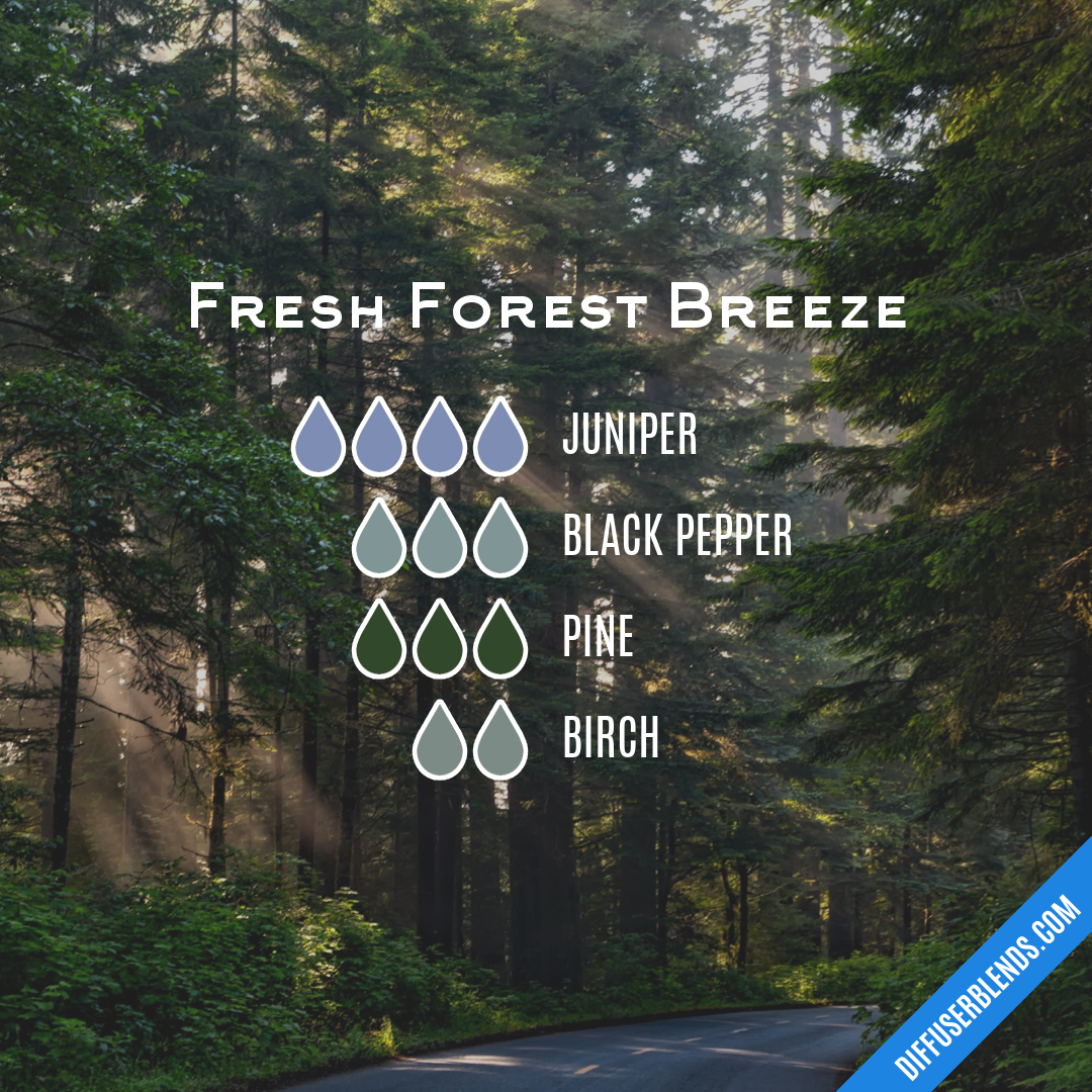 Fresh Forest Breeze — Essential Oil Diffuser Blend