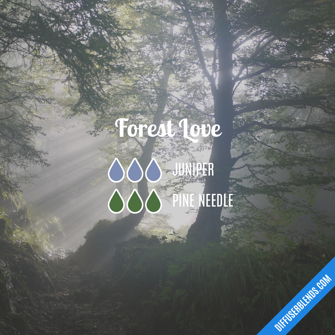 Forest Love — Essential Oil Diffuser Blend