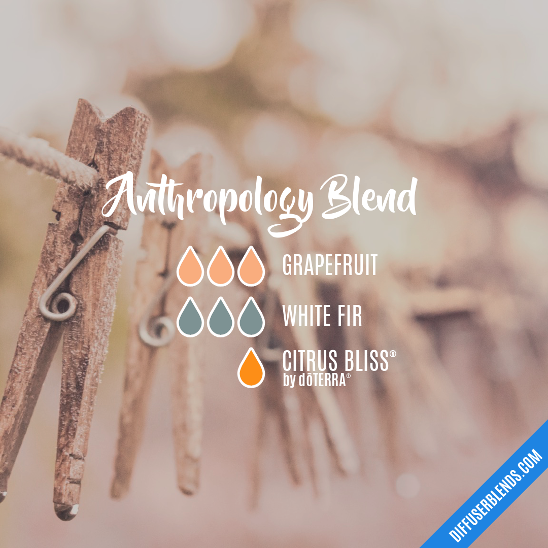 Anthropology Blend — Essential Oil Diffuser Blend