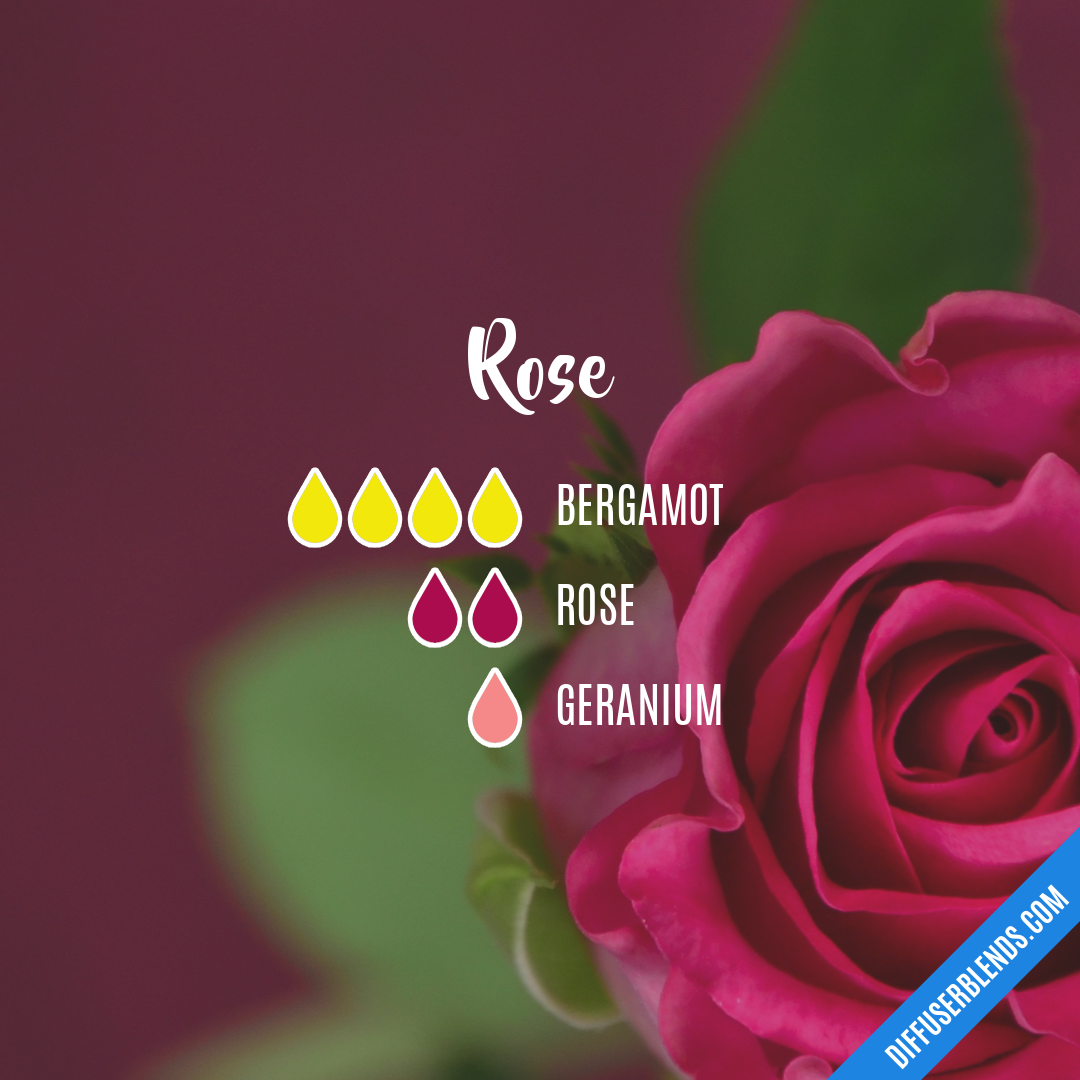 Rose — Essential Oil Diffuser Blend