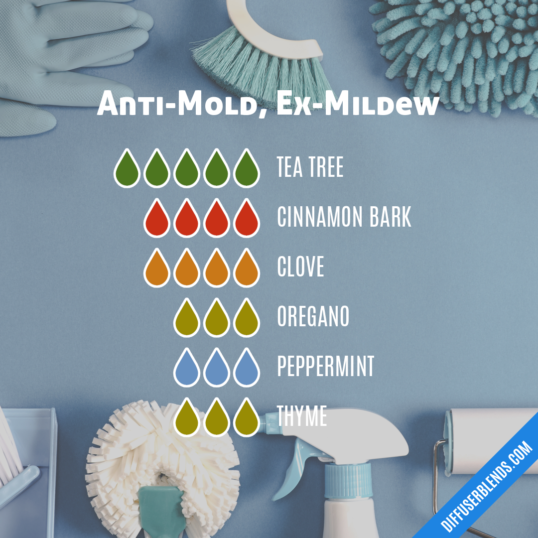 Anti-Mold, Ex-Mildew — Essential Oil Diffuser Blend
