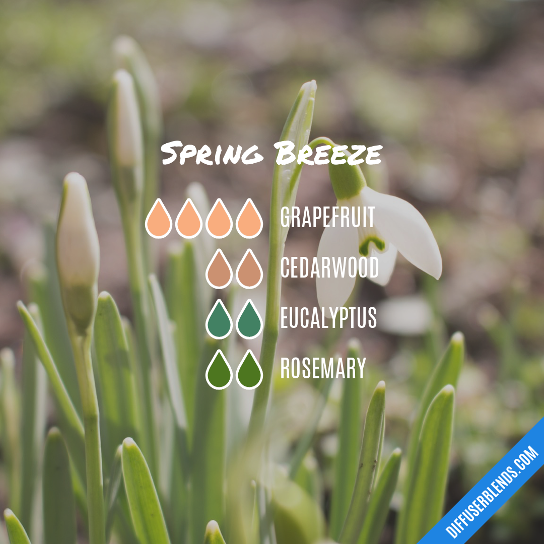 Spring Breeze — Essential Oil Diffuser Blend
