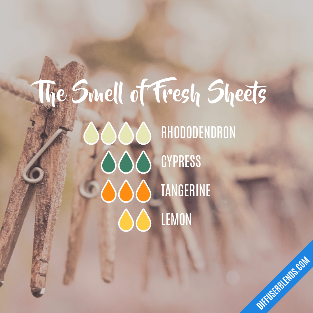 The Smell of Fresh Sheets
