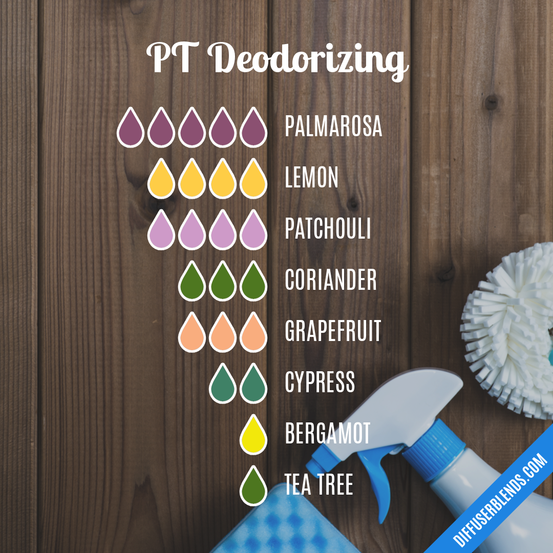 PT Deodorizing — Essential Oil Diffuser Blend