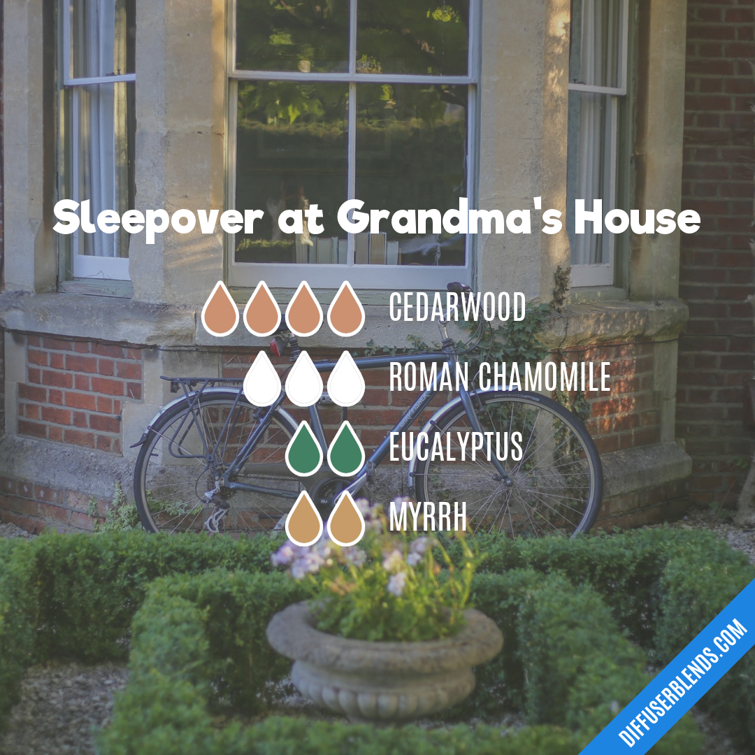 Sleepover at Grandma's House