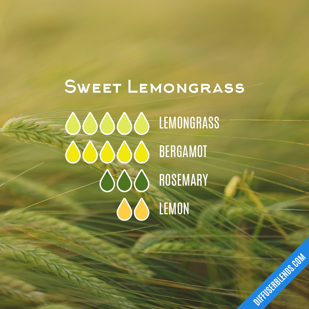Sweet Lemongrass — Essential Oil Diffuser Blend