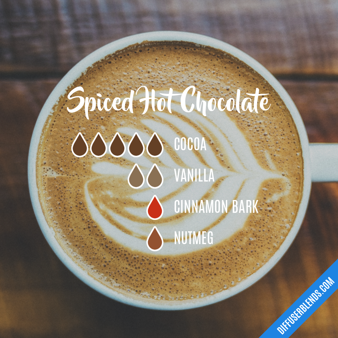 Spiced Hot Chocolate