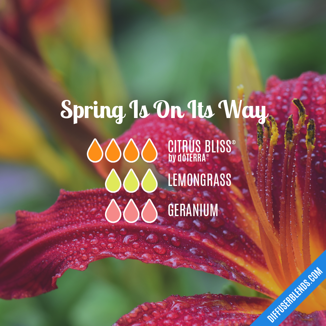 Spring Is On Its Way — Essential Oil Diffuser Blend