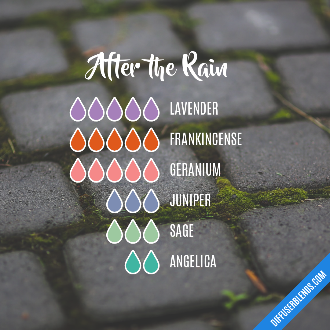 After the Rain — Essential Oil Diffuser Blend
