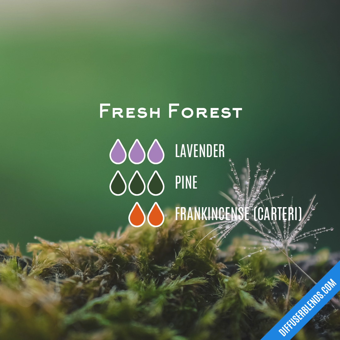 Fresh Forest — Essential Oil Diffuser Blend