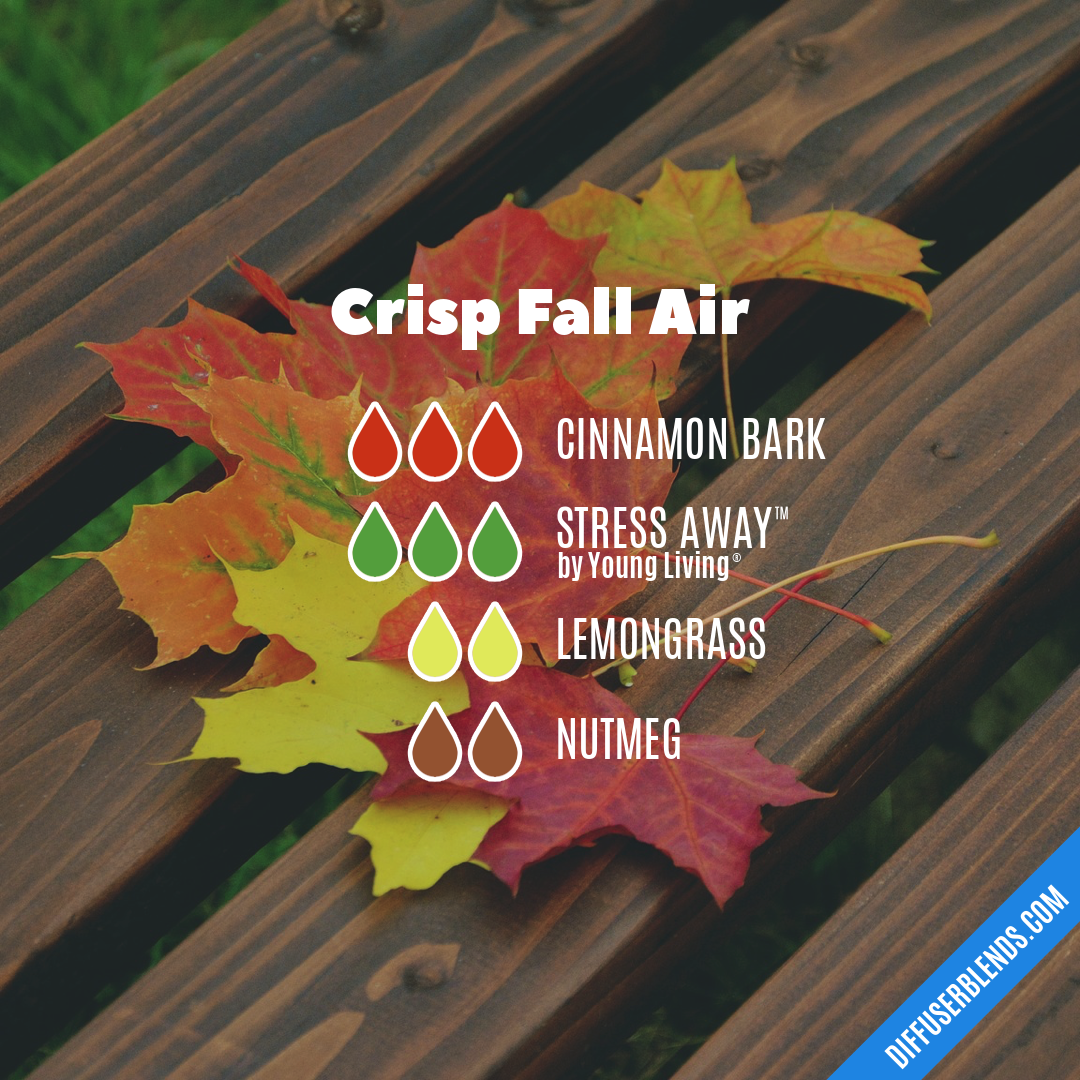 Crisp Fall Air — Essential Oil Diffuser Blend