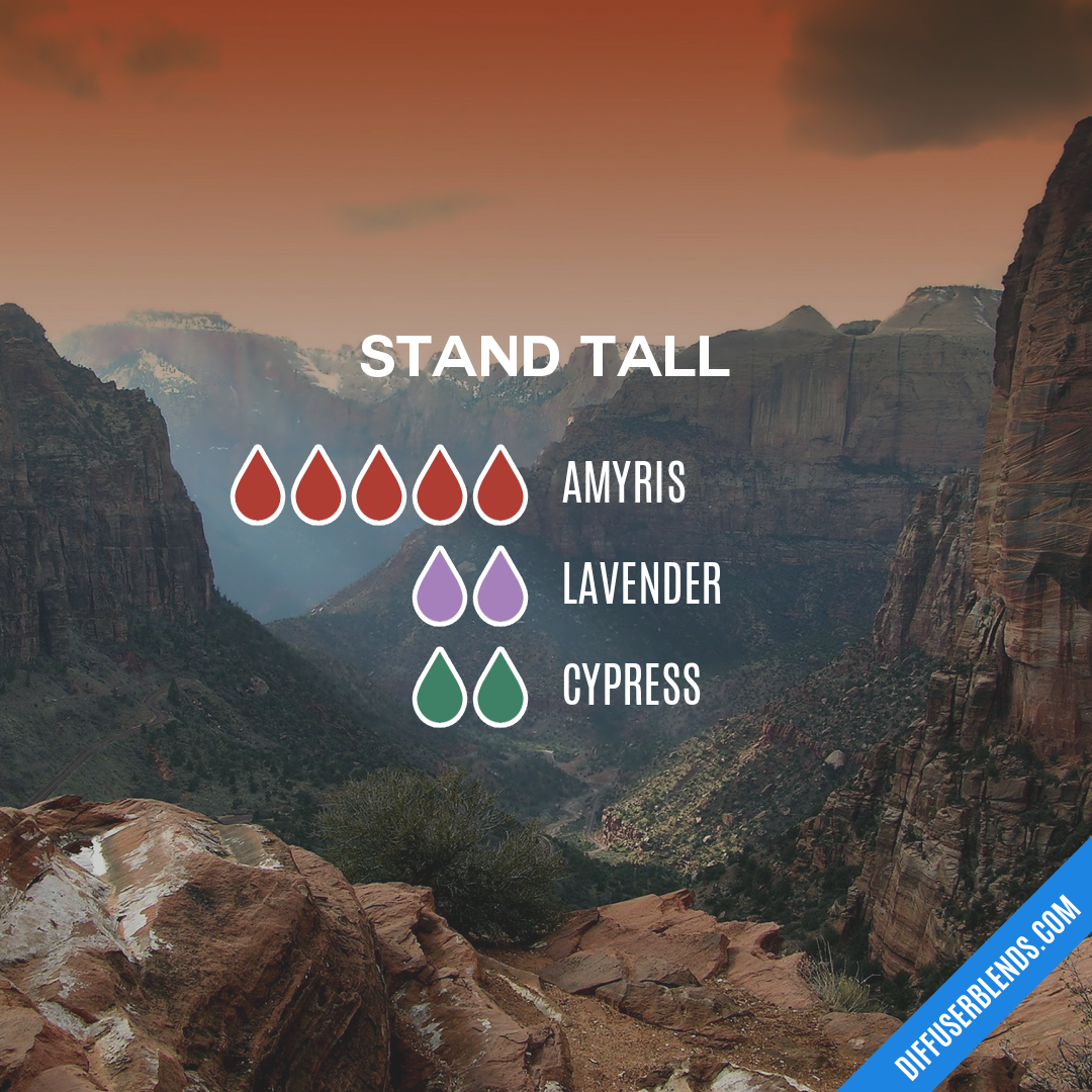 Stand Tall — Essential Oil Diffuser Blend