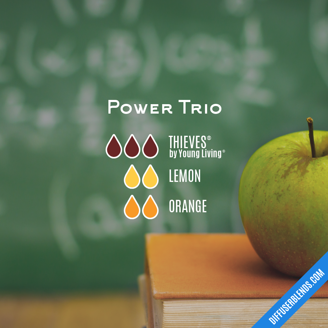 Power Trio — Essential Oil Diffuser Blend