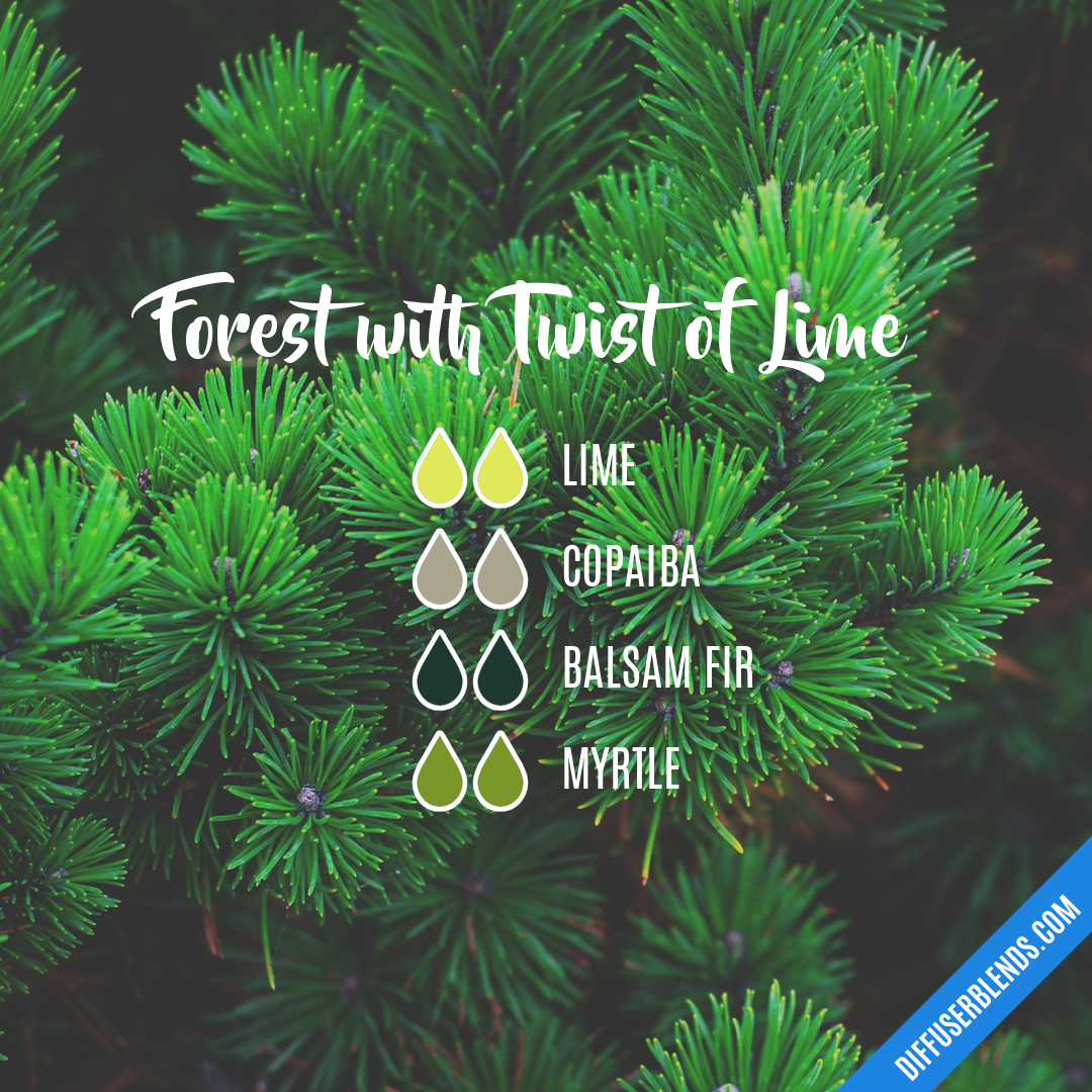 Forest with Twist of Lime — Essential Oil Diffuser Blend
