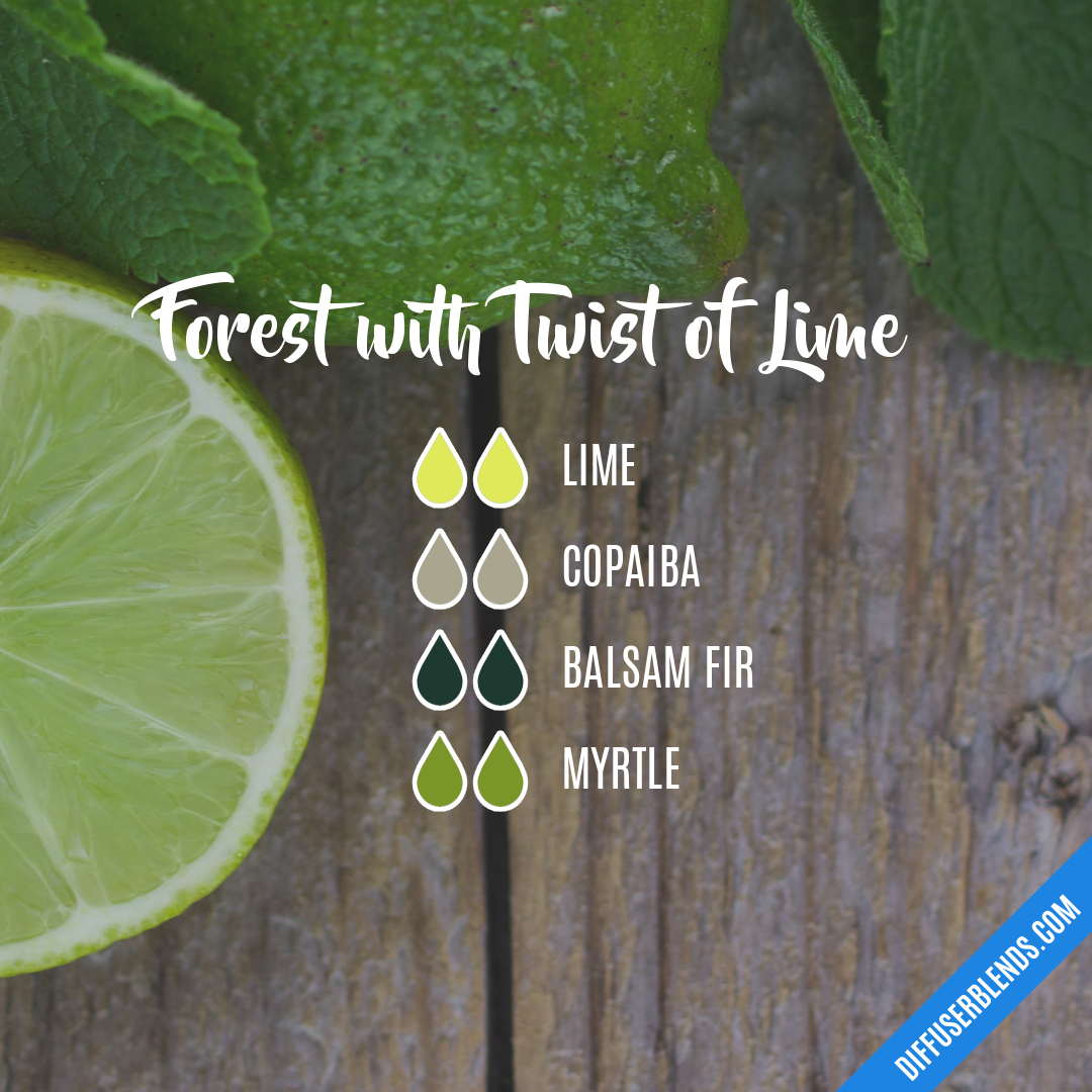 Forest with Twist of Lime | DiffuserBlends.com