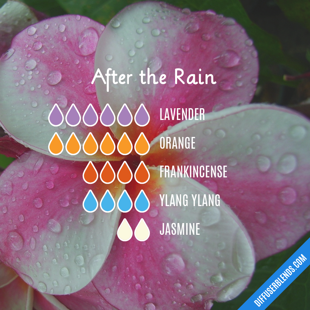 After the Rain — Essential Oil Diffuser Blend