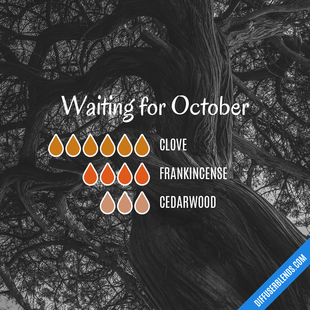 Waiting for October — Essential Oil Diffuser Blend