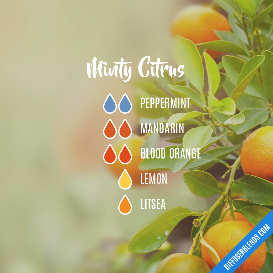 Minty Citrus | DiffuserBlends.com