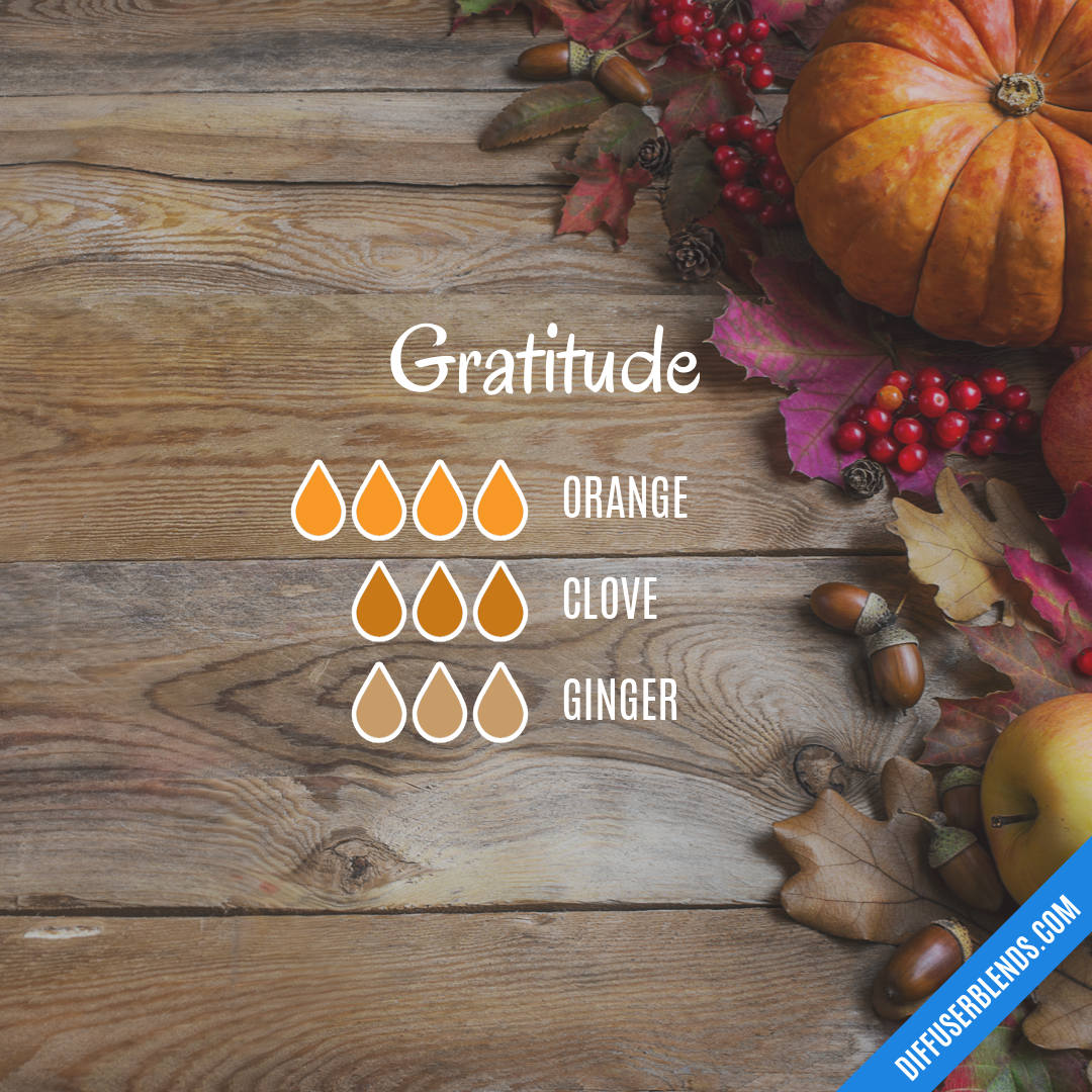 Gratitude — Essential Oil Diffuser Blend