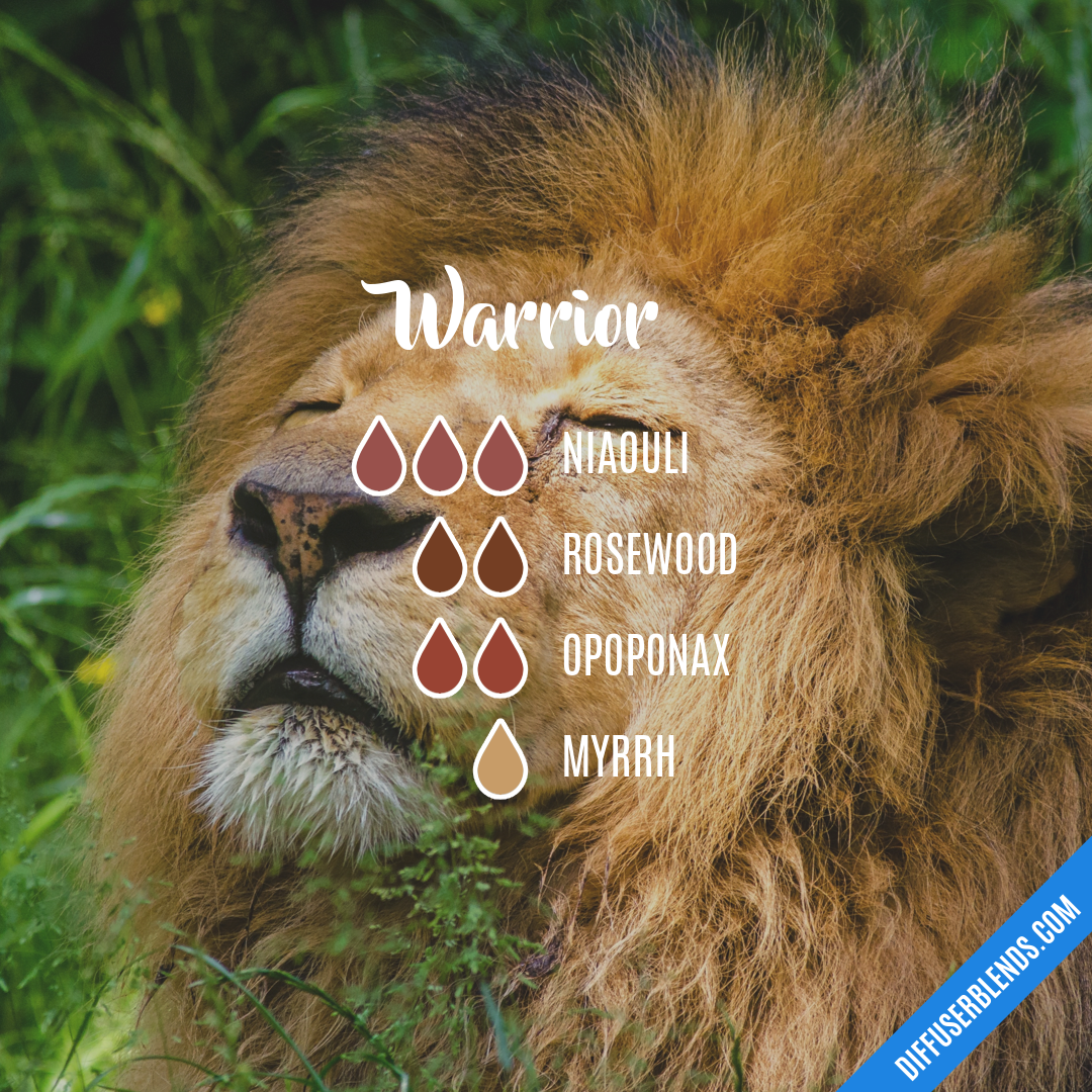 Warrior — Essential Oil Diffuser Blend