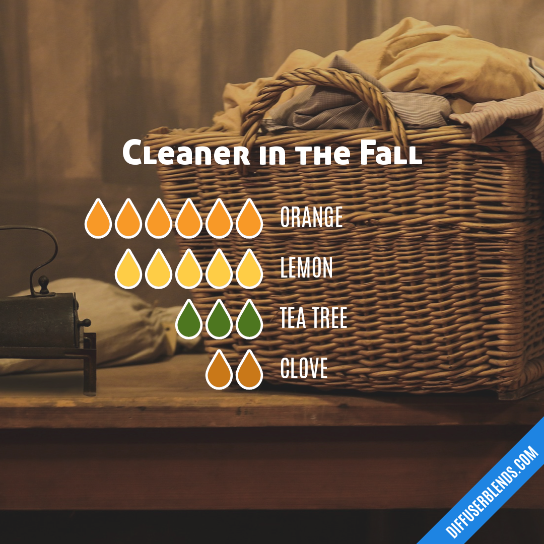 Cleaner in the Fall — Essential Oil Diffuser Blend