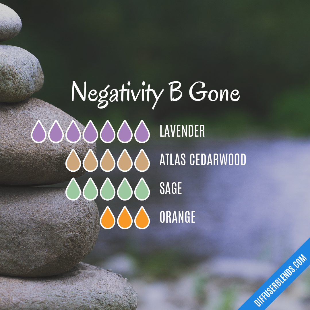 Negativity B Gone — Essential Oil Diffuser Blend